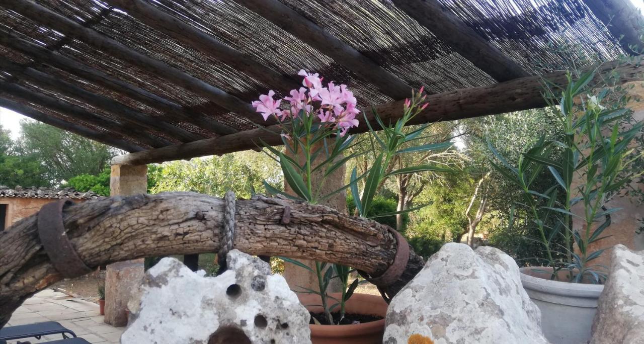 Hotel Finca Son Verd *