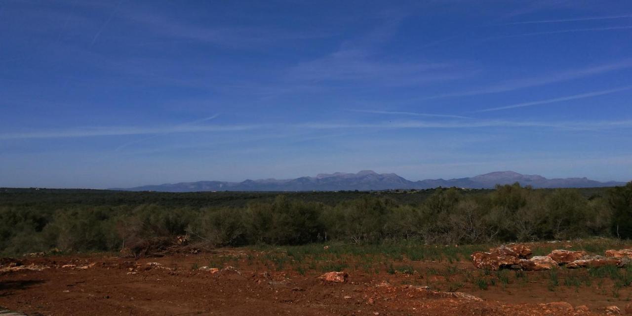 Finca Son Verd